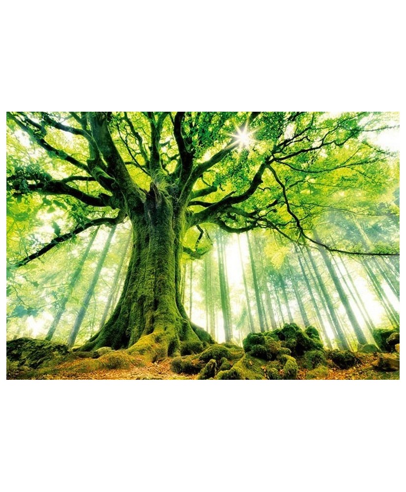 Painel decorativo THE PERFECT WAVE