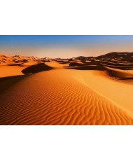 Painel decorativo THE PERFECT WAVE