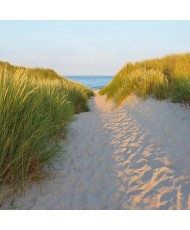 Painel decorativo SAN FRANCISCO MORNING