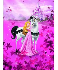 Painel decorativo Cinderella's Night