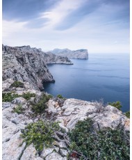 Painel Decorativo BIZARRE COAST