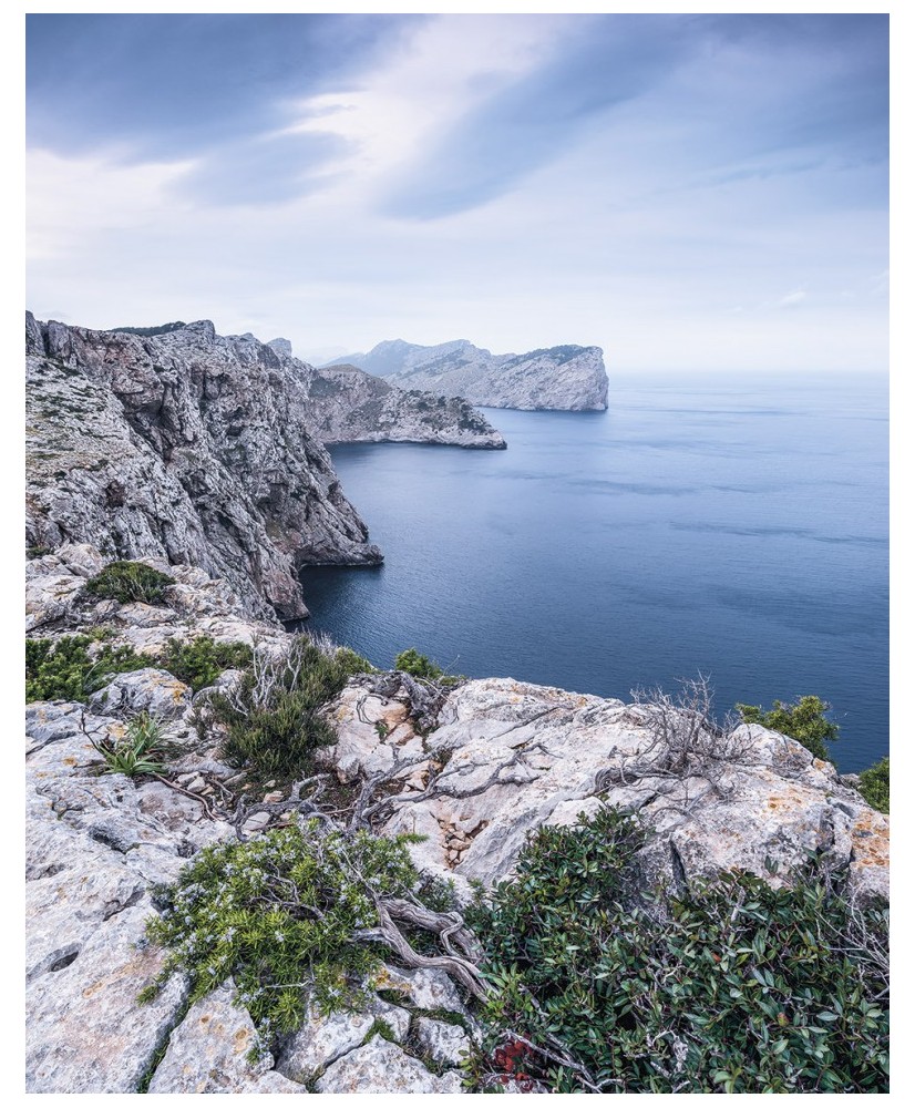 Painel Decorativo BIZARRE COAST Painel Decorativo BIZARRE COAST