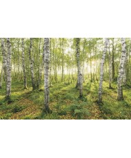 Painel Decorativo BIRCH TREES