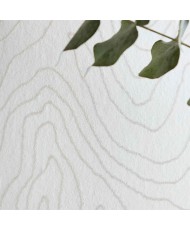 Momentum Wallcoverings 4