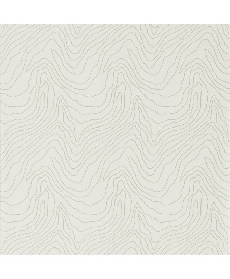 Momentum Wallcoverings 4