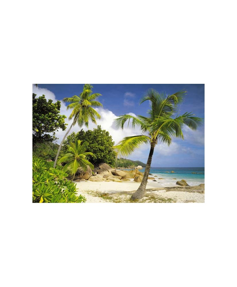 Painel decorativo Praslin