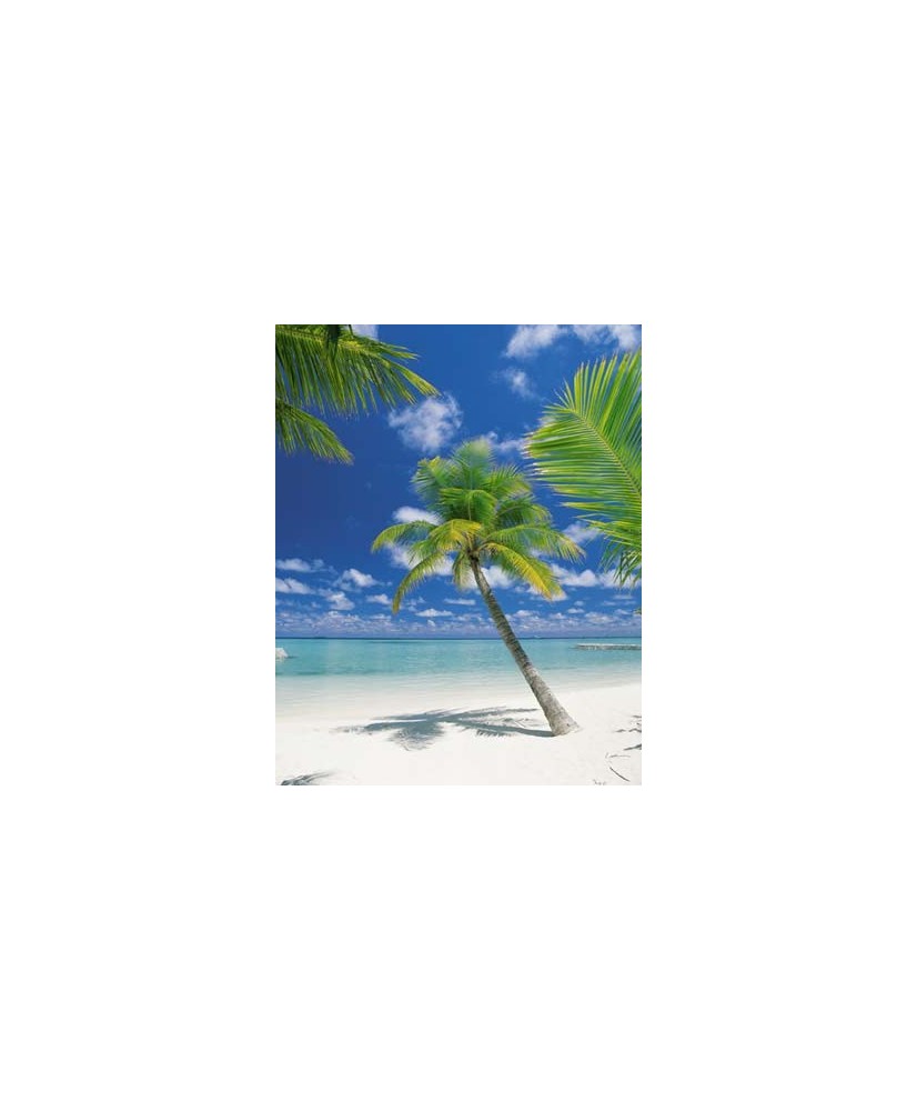 Painel decorativo Ari Atoll
