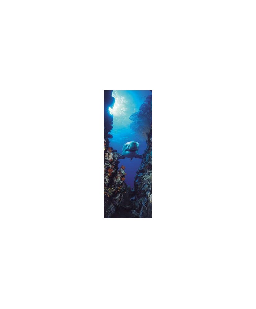 Painel decorativo Shark Painel decorativo Shark