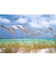 Painel decorativo Ocean Breeze