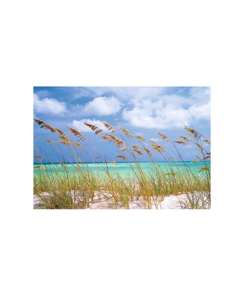 Painel decorativo Ocean Breeze