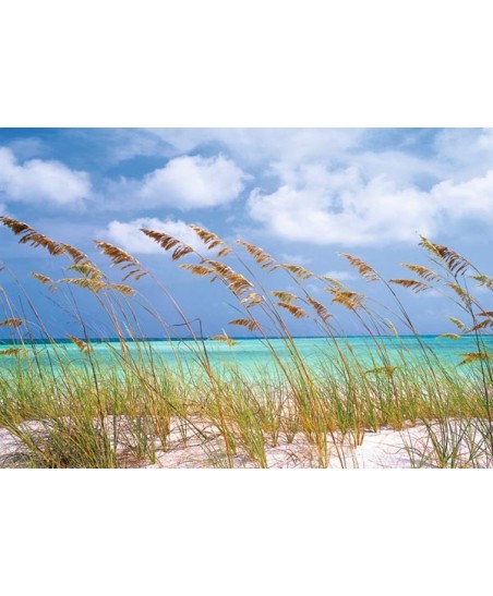 Painel decorativo Ocean Breeze