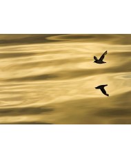 Painel decorativo Reflection