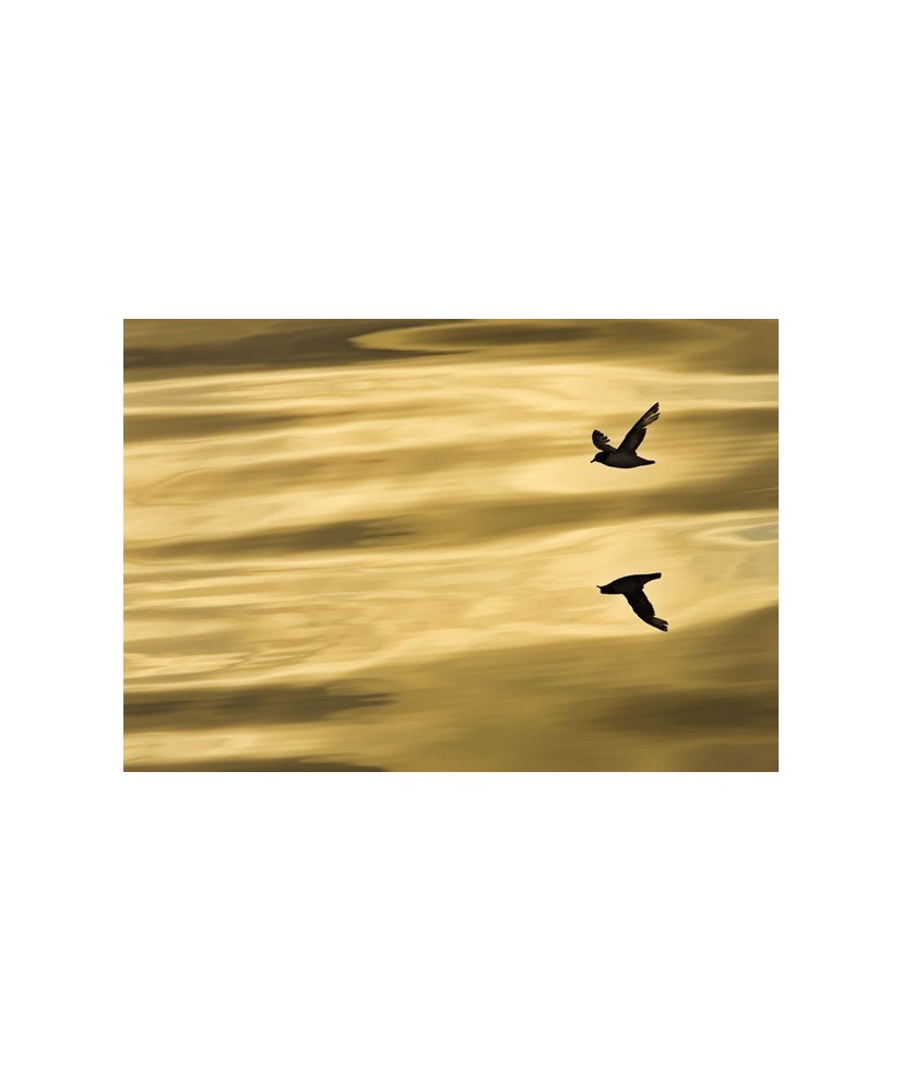Painel decorativo Reflection