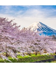 Painel Decorativo 2P10007