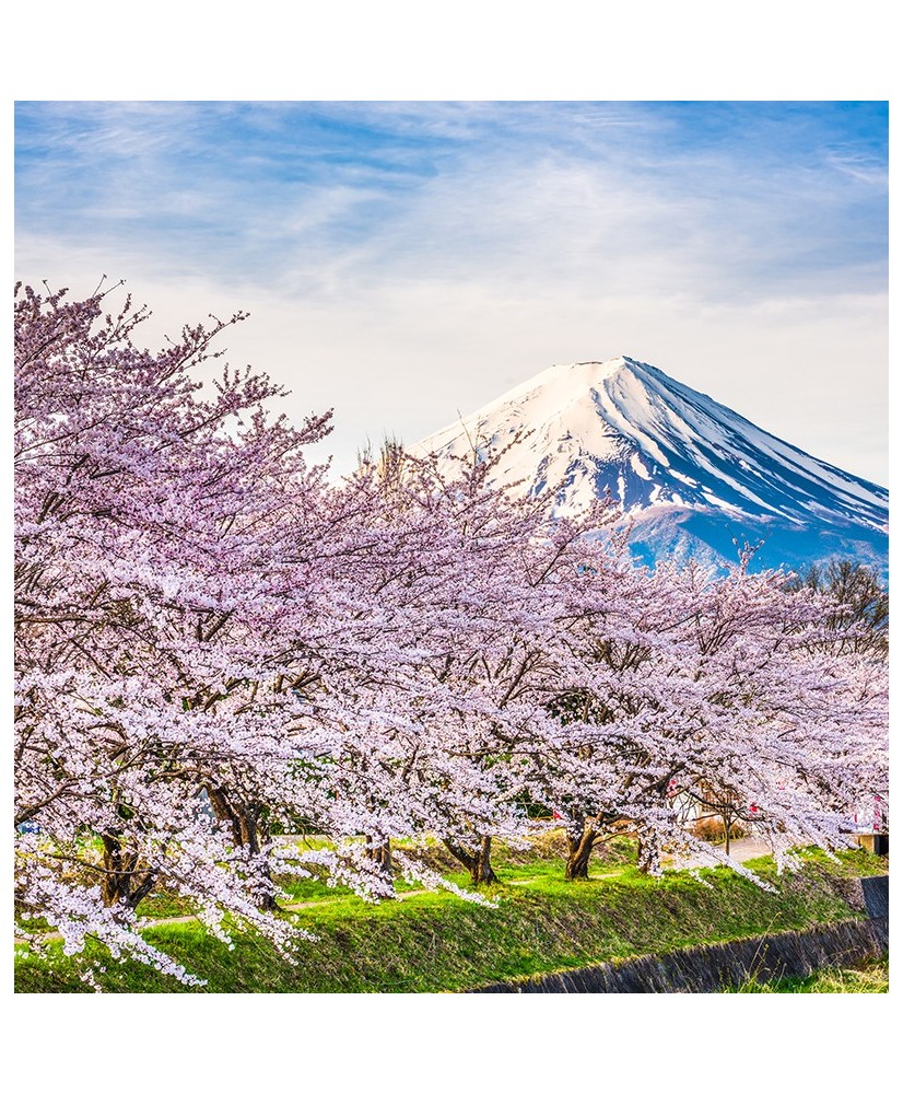 Painel Decorativo 2P10007