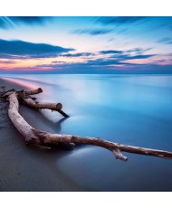 Painel Decorativo 2P10009