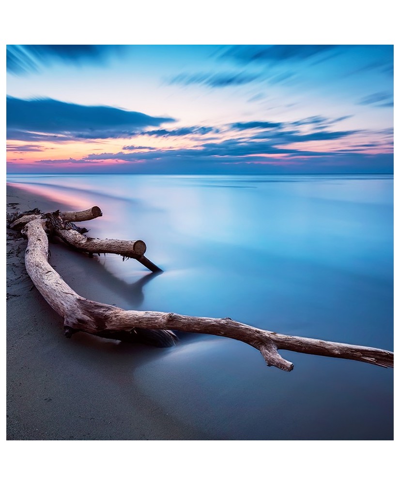 Painel Decorativo 2P10009