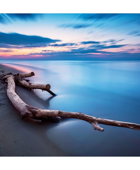 Painel Decorativo 2P10009