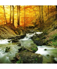 Painel Decorativo 2P10015