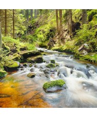 Painel Decorativo 2P10020