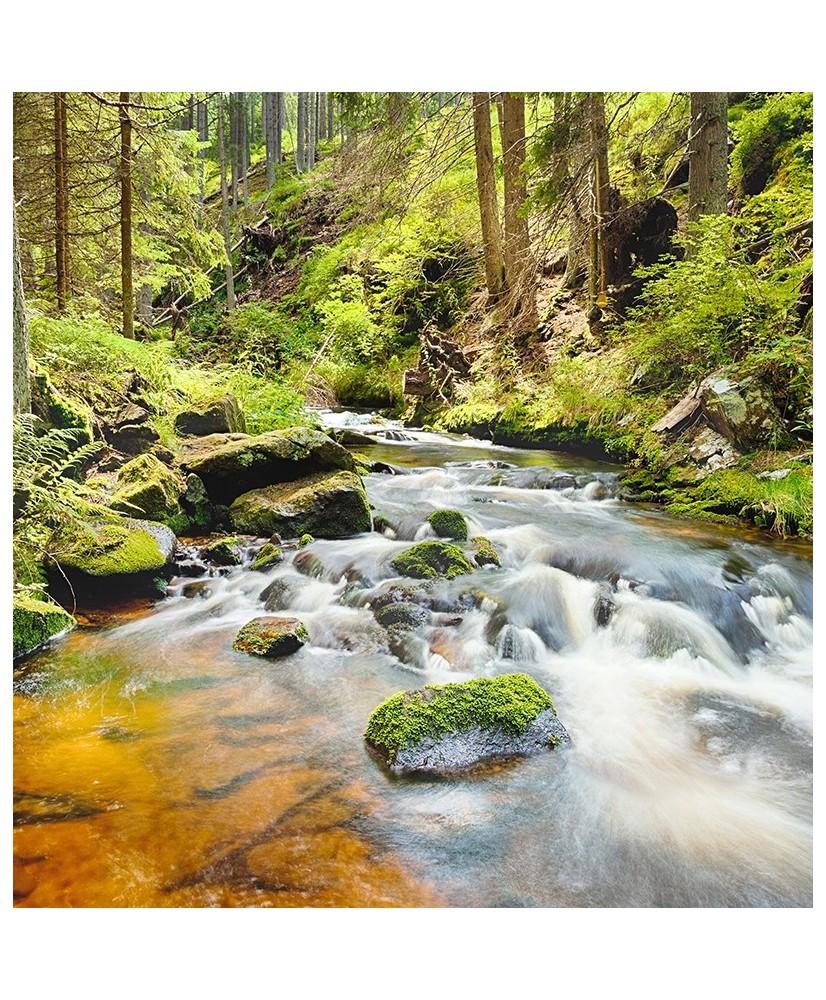 Painel Decorativo 2P10020