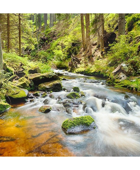 Painel Decorativo 2P10020