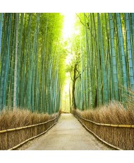 Painel Decorativo 2P11004