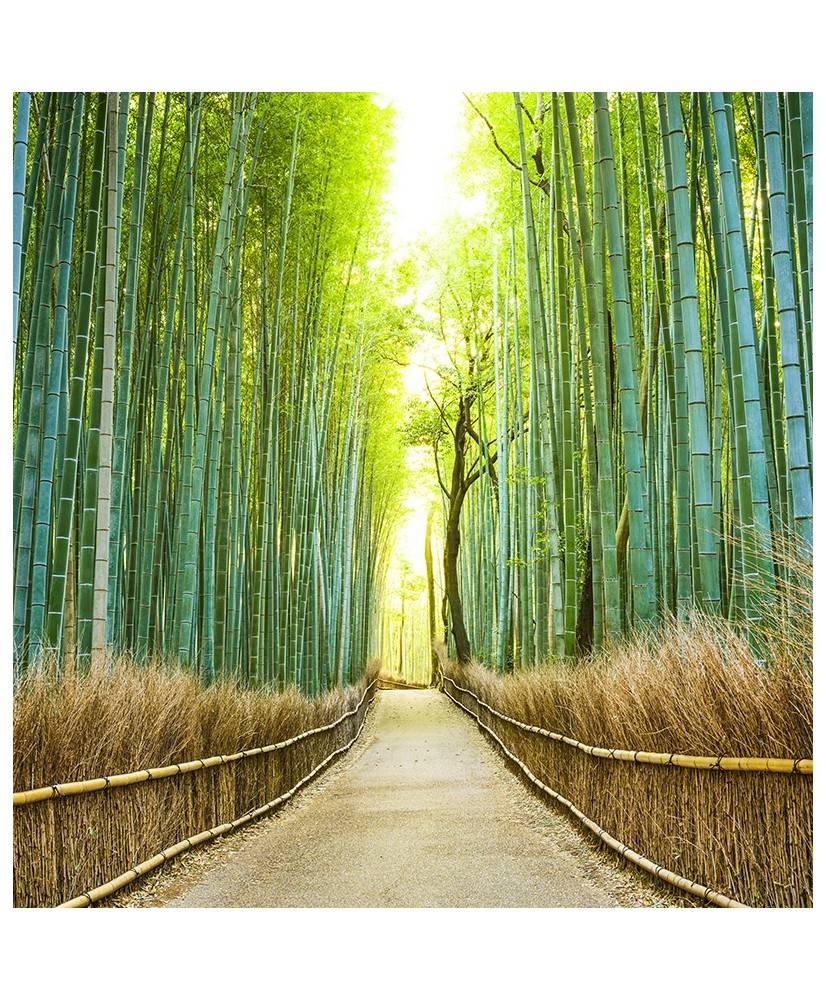 Painel Decorativo 2P11004