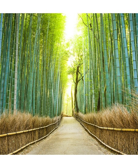 Painel Decorativo 2P11004