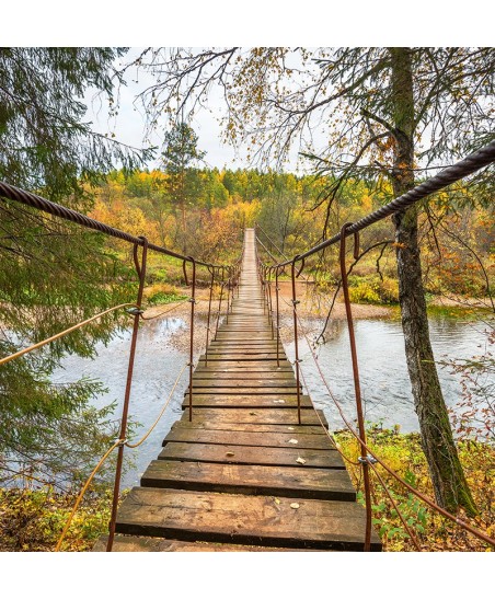 Painel Decorativo 2P11010