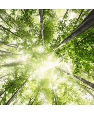 Painel Decorativo 2P12003