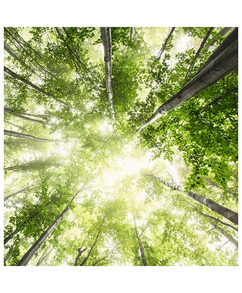 Painel Decorativo 2P12003