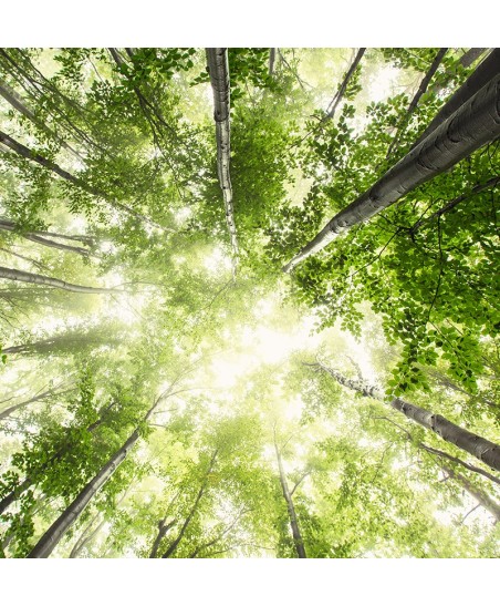 Painel Decorativo 2P12003