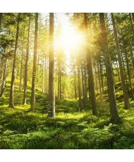 Painel Decorativo 2P12004