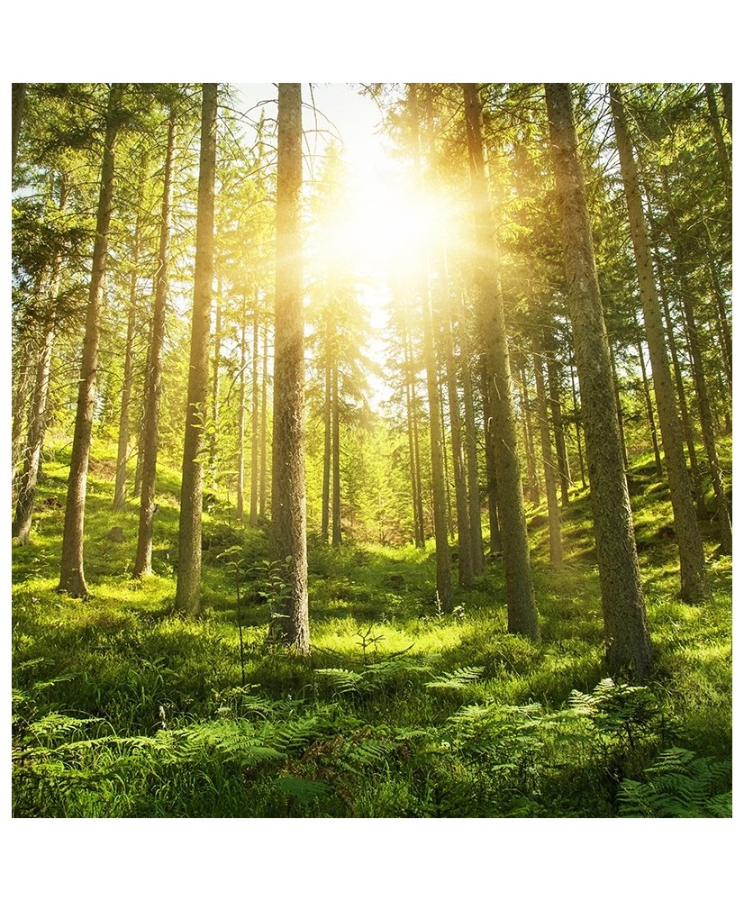 Painel Decorativo 2P12004