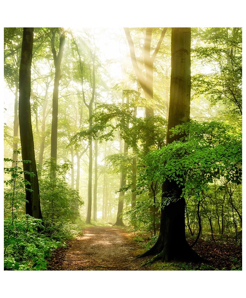 Painel Decorativo 2P12006