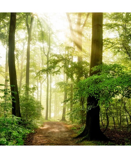 Painel Decorativo 2P12006