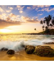 Painel Decorativo 2P20002