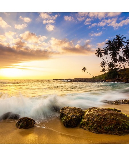 Painel Decorativo 2P20002