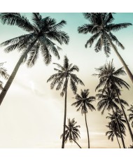 Painel Decorativo 2P20005