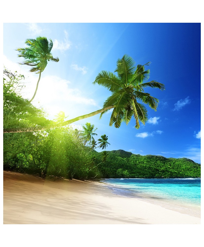 Painel Decorativo 2P20007