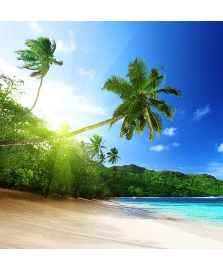 Painel Decorativo 2P20007