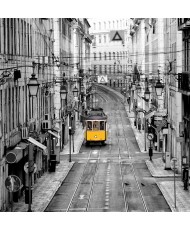 Painel Decorativo 2P31005