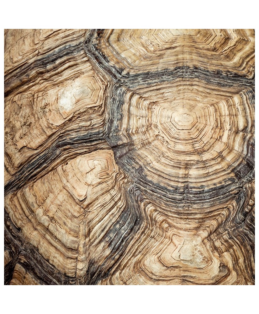 Painel Decorativo 2P40007