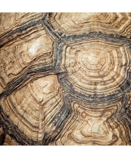 Painel Decorativo 2P40007