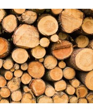 Painel Decorativo 2P40010