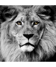 Painel Decorativo 2P60001