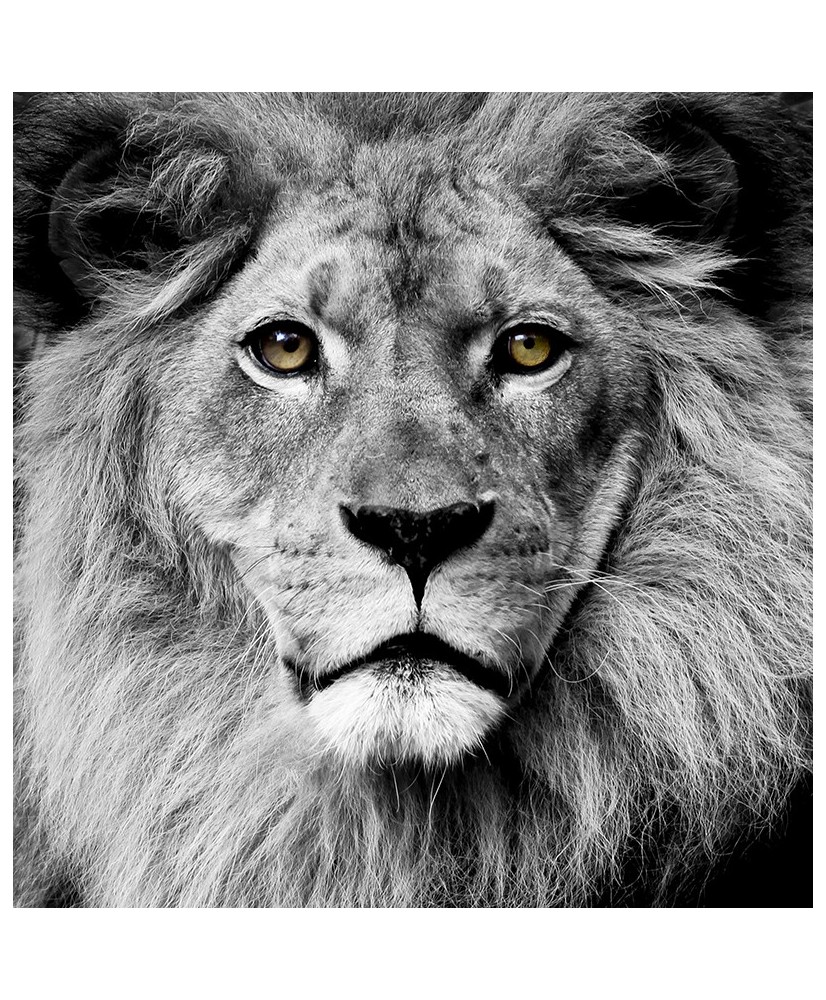 Painel Decorativo 2P60001