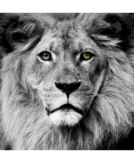 Painel Decorativo 2P60001