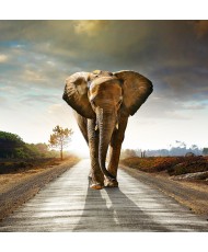 Painel Decorativo 2P60003